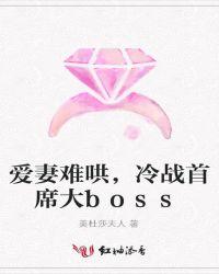 爱妻难哄冷战首席boos免费阅读