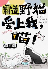 霸道猫总裁是什么漫画