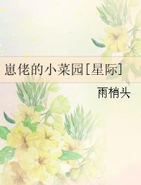 崽佬的小菜园星际