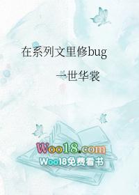 在系列文里修bug免费