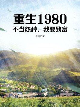 重生1980不当怨种