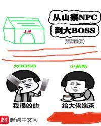 从山寨npc到大boss百