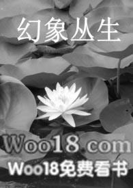 幻象丛生梦幻西游