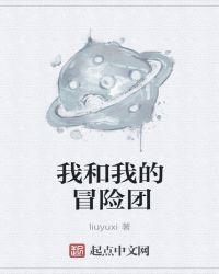 我和我的冒险团作者liuyuxi