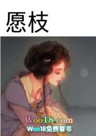 愿枝作者陈隽