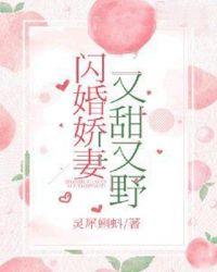 闪婚甜又暖