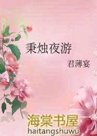 秉烛夜游是什么意思解释