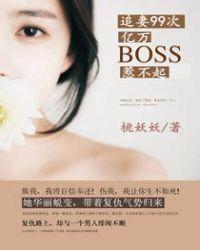 追妻99次boss我们aa制