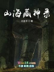 山海藏精无防盗