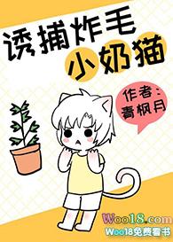 诱捕炸毛小奶猫笔趣阁