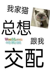 猫为什么想和人一起睡