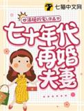 七十年代再婚夫妻免费阅读全文