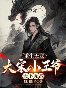 重生天龙大宋小王爷天下无敌正版