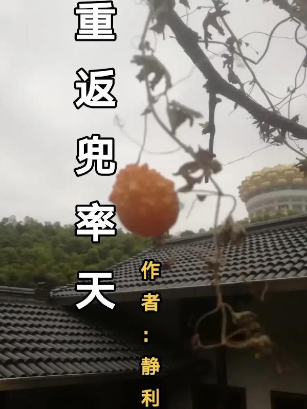 重回兜率天