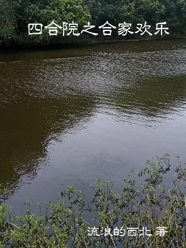 四合院之合家欢乐流浪