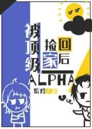 被极品alpha捡回家以后