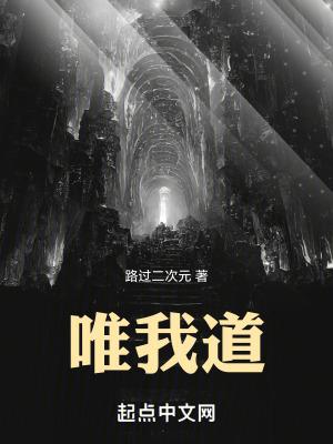 唯我道无防盗版