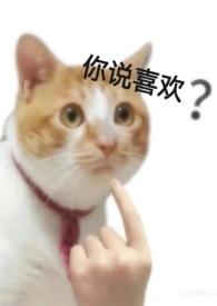 对不起爱