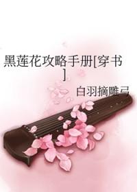 黑莲花攻略手册txt