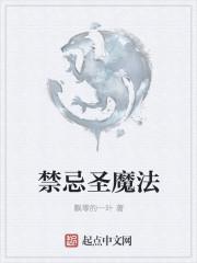 禁忌的魔法书