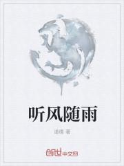 听风说雨经过完整版