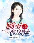 惹爱成婚顾少的心尖宠妻