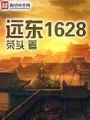 远东1628全本听书