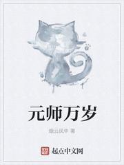 元师是什么意思