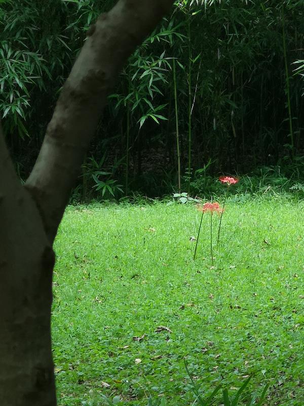 七零穿书沬沬