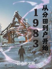 1983从分田到户开始西红柿