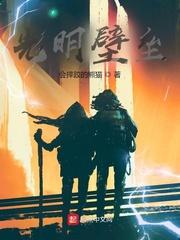 光明壁垒无弹窗