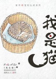 我是猫摘抄