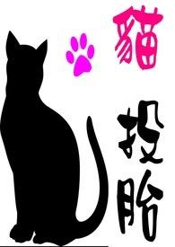 猫投胎找主人