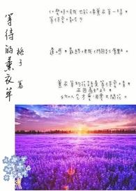 薰衣草电视剧的歌曲