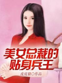 美女总裁的贴身兵王无痕